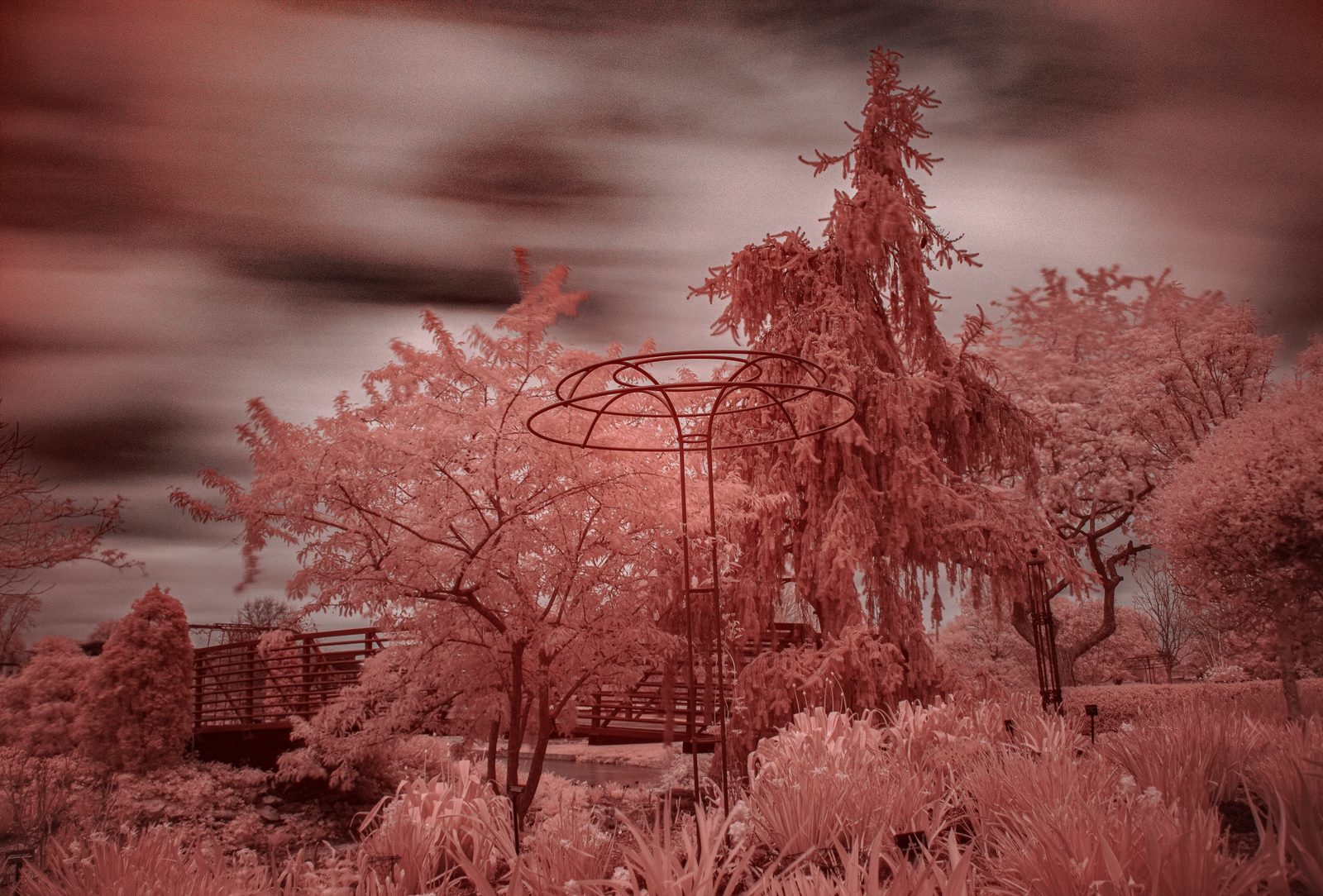 Infrared photograph: trees and landscape in surreal false color