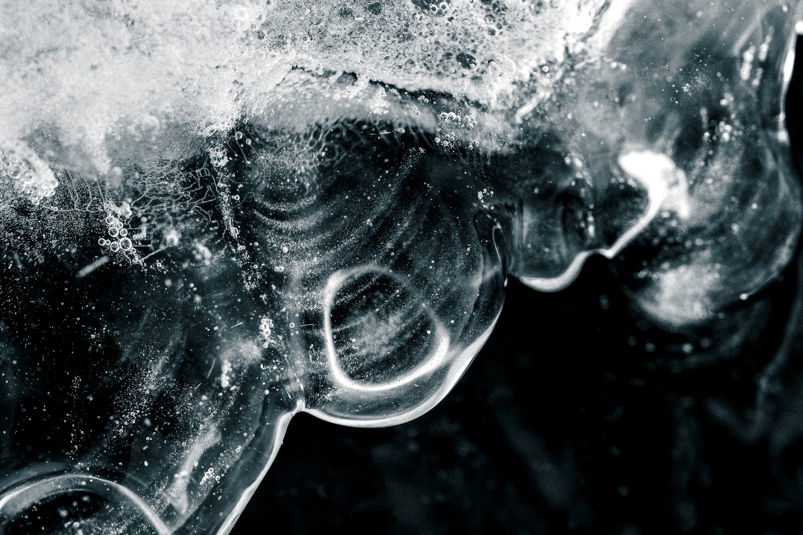 Macro photograph: extreme close-up revealing fine surface texture