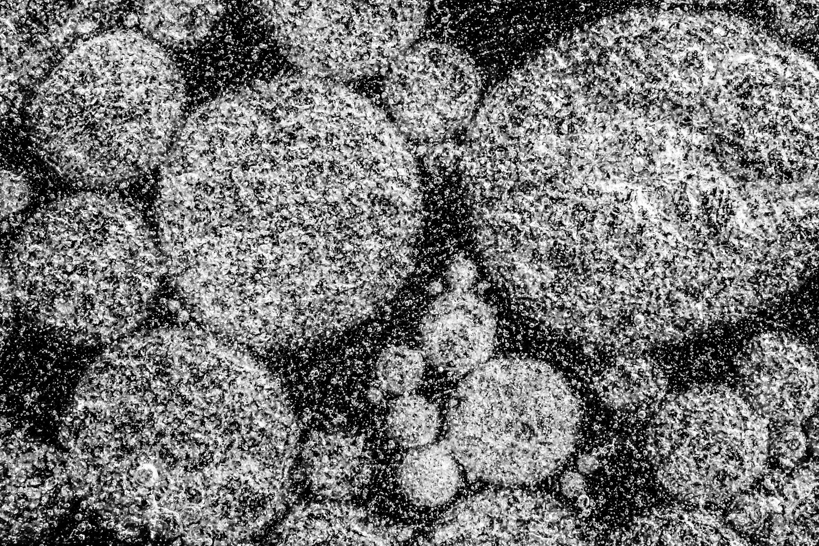 Macro photograph: abstract texture captured at close range